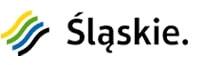 Współfinansowanie