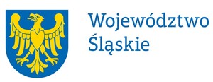Współfinansowanie
